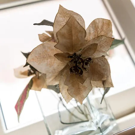 Gæstehus Sandito 3*