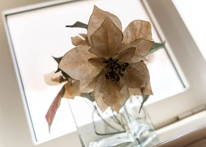 Affittacamere Sandito 3*